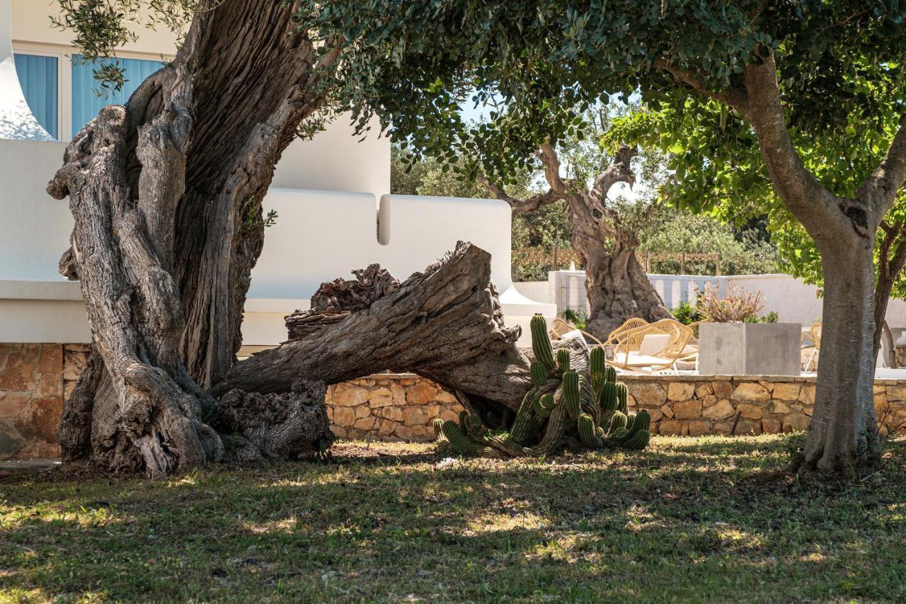 Villa Al Mare Sea, Relax & Wellness 모노폴리 외부 사진